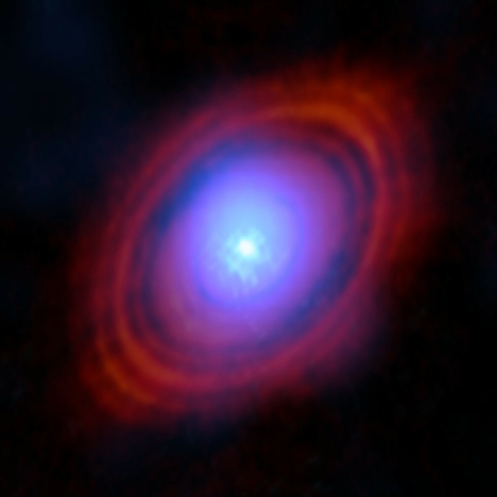 Water in the inner disk around the developing star HL Tauri.