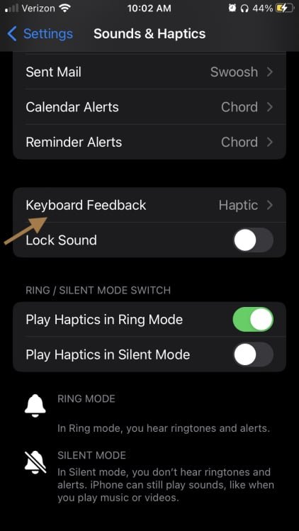 iPhone sound & haptics menu